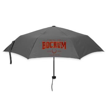Flunkyball Profi Team Bochum Vintage Shirt - Regenschirm (klein) - Grau - Vorne
