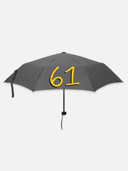 61 - Regenschirm (klein) - Grau
