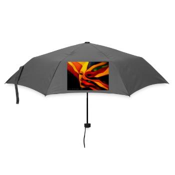 Traum von extravaganten Farben - Regenschirm (klein) - Grau - Vorne