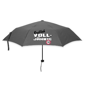 18. Geburtstag ,Volljährig ,Endlich Volljährig(25) - Regenschirm (klein) - Grau - Vorne