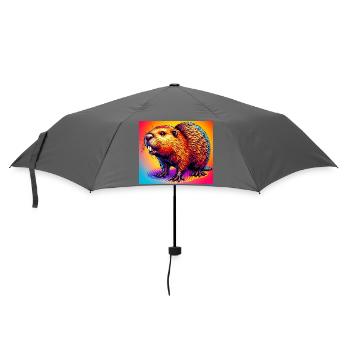Bieber - Regenschirm (klein) - Grau - Vorne