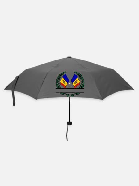 Fahnen Moldawien Lorbeerkranz Banner - Regenschirm (klein) - Grau