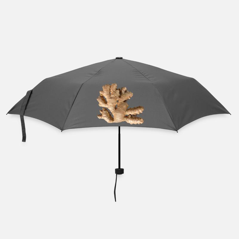 Gingembre - Parapluie standard - bruyère