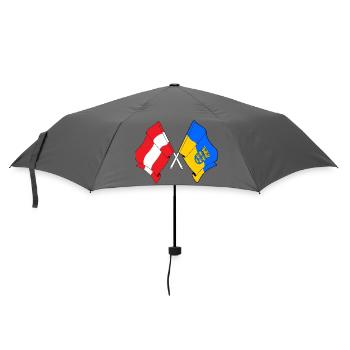 Austria & Lower Austria Crossed Flags - Umbrella (small) - grey - Front