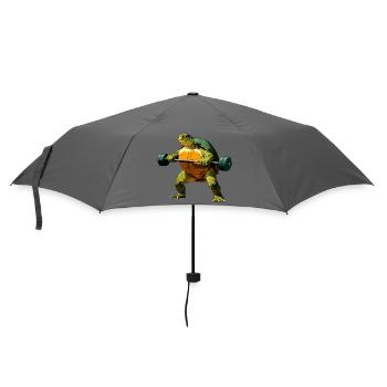 Turtle Trainer - Umbrella (small) - grey - Front