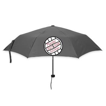 Champion and promoted team 2025/2026 - Umbrella (small) - grey - Front