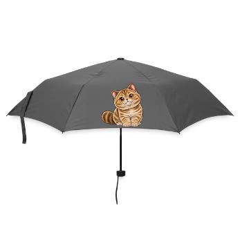 Britisch Kurzhaar Golden Tabby Kawaii Style - Regenschirm (klein) - Grau - Vorne