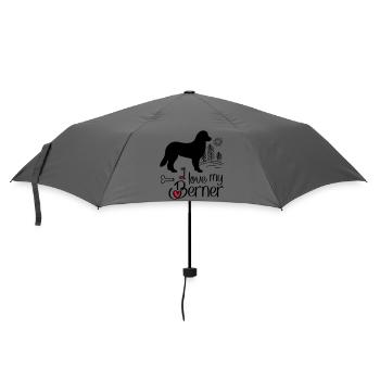 Bernersennehund - Umbrella (small) - grey - Front