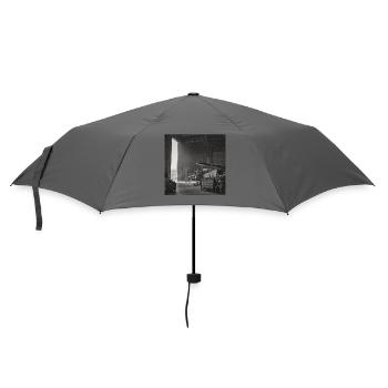 Raven on Plane Lost Place Vintage Animal Crime - Umbrella (small) - grey - Front
