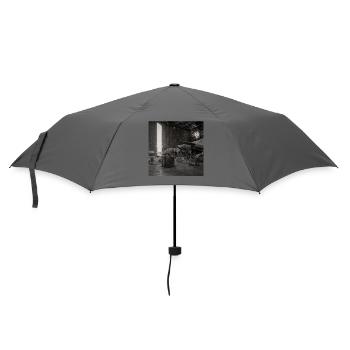 Photographie Noir dans un hangar d’avion vintage Animal - Parapluie standard - bruyère - Devant