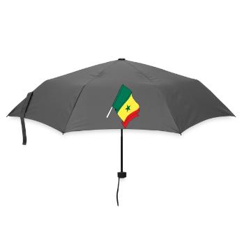 Drapeau du Sénégal - Parapluie standard - bruyère - Devant