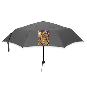 Cherry blossom magic in spring - Umbrella (small) - grey - Front