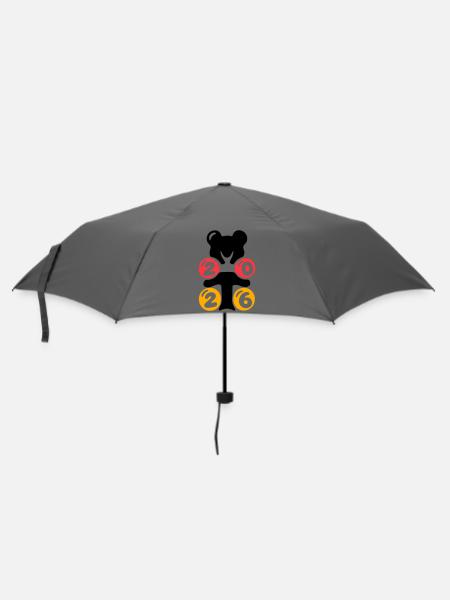 Logo_2026_final_layers - Regenschirm (klein) - Grau