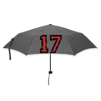 The Number Seventeen - No. 17 (two-color) red - Umbrella (small) - grey - Front