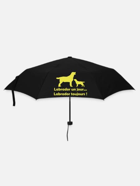 Un jour... Toujours ! - Parapluie standard - noir