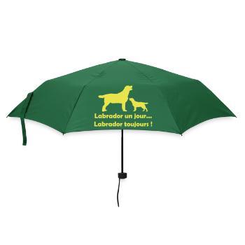 Un jour... Toujours ! - Parapluie standard - vert bouteille - Devant