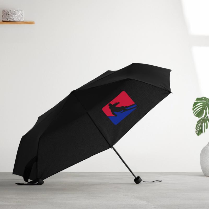 button frame shield ski drive down mountain winter Umbrella (small)