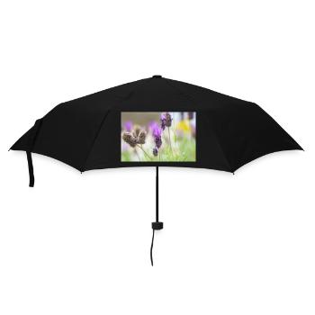 Delicate Lavender in Bloom - Umbrella (small) - black - Front