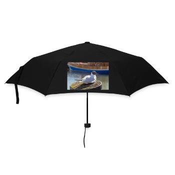 Seagull in Büsum Harbor Germany Poster - Umbrella (small) - black - Front