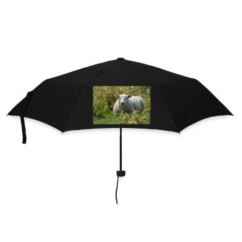 Schaf liegend im Gras - Poster - Regenschirm (klein) - Schwarz - Vorne