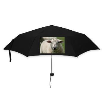Nahaufnahme eines Schafes - Regenschirm (klein) - Schwarz - Vorne