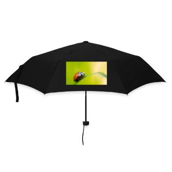 ladybug - Umbrella (small) - black - Front
