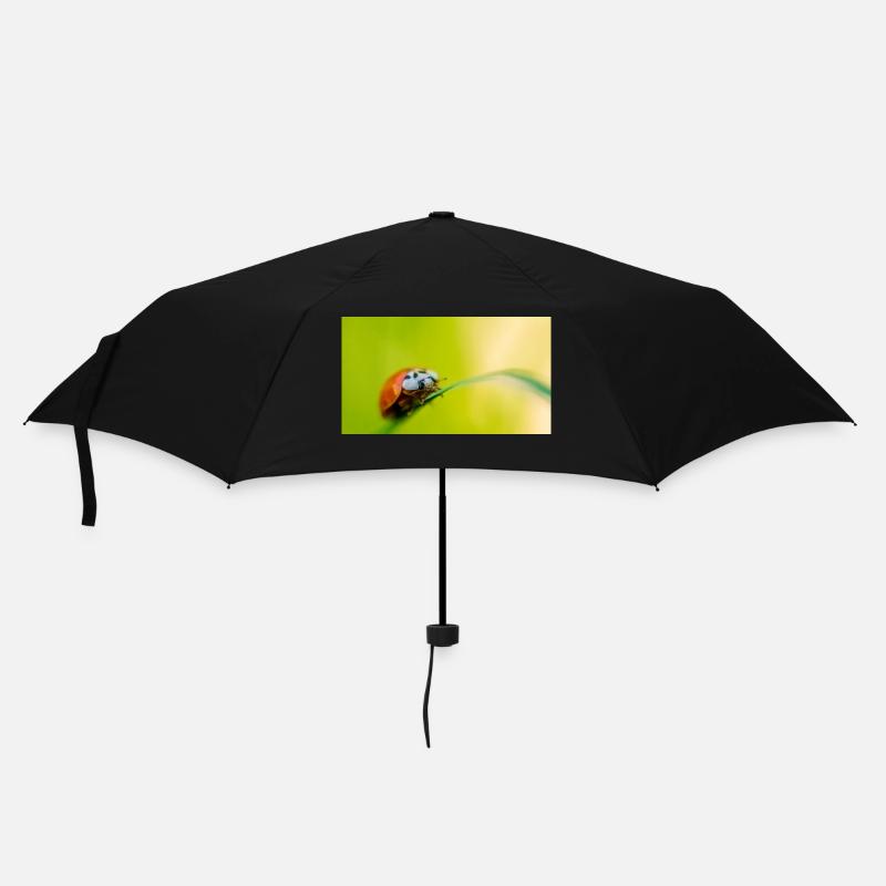 Marienkäfer - Regenschirm (klein) - Schwarz