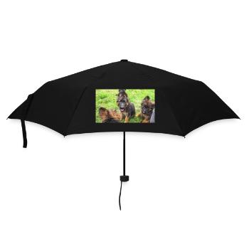 Langstockhaarwelpen - Regenschirm (klein) - Schwarz - Vorne