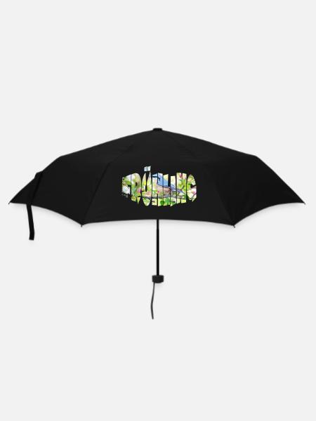 frühling 1 - Regenschirm (klein) - Schwarz