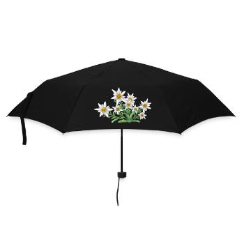 Das Edelweiss, Blume der Alpen, Blume der Schweiz - Regenschirm (klein) - Schwarz - Vorne
