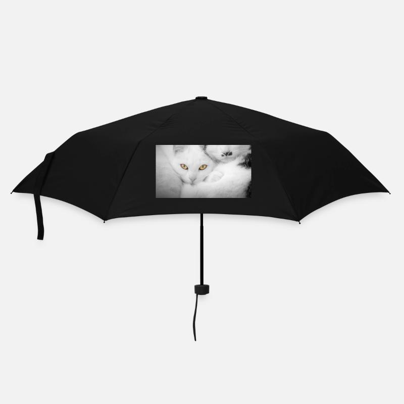 Cats - Umbrella (small) - black