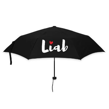 Lustiger Spruch Witzig Humor Geschenkidee - Regenschirm (klein) - Schwarz - Vorne