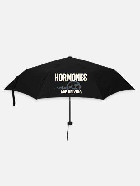 Perimenopause Humor Perimenopause - Regenschirm (klein) - Schwarz