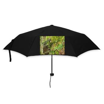 Waldstumpf mit Moos und Farnen - Regenschirm (klein) - Schwarz - Vorne