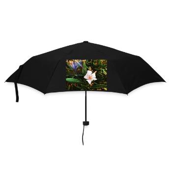 Beauty of Nature - Umbrella (small) - black - Front