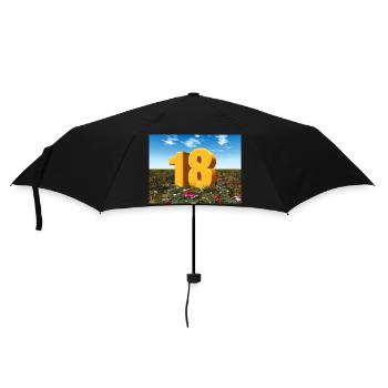 Année 18 - Parapluie standard - noir - Devant