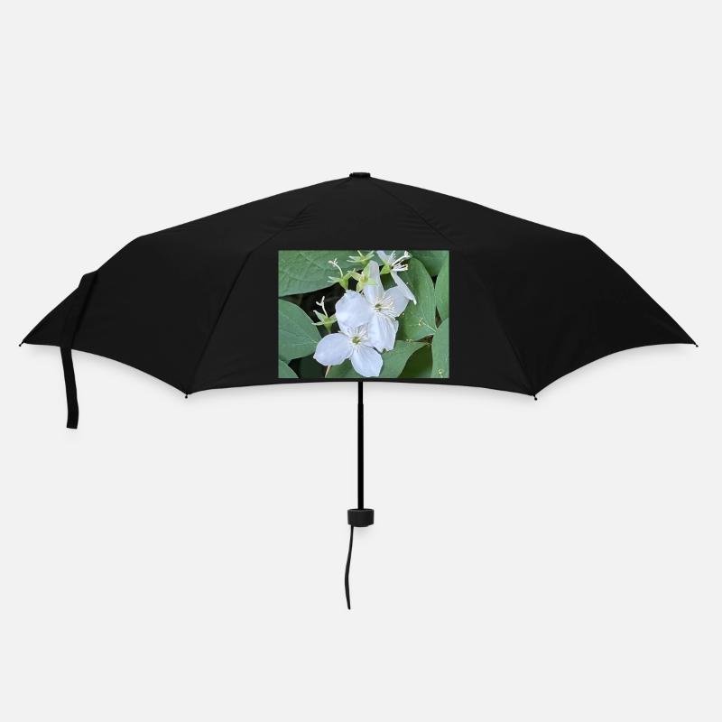 Fleur blanche - Parapluie standard - noir