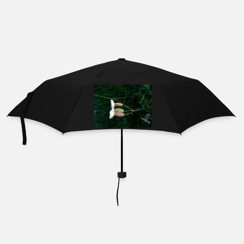 Flower lying down by the wind - Umbrella (small) - black