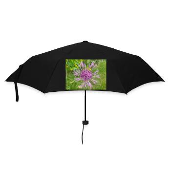 Großes Flockenkraut auch Centaurea Skabiosen-Flocken - Regenschirm (klein) - Schwarz - Vorne