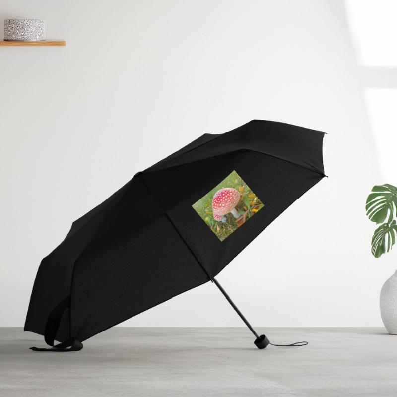fly agaric also toadstool Umbrella (small)