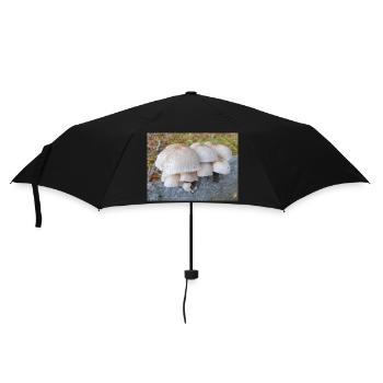 Porzellanpilz auch Porzellanpilz - Regenschirm (klein) - Schwarz - Vorne