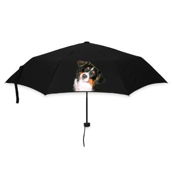 Aussie Nanouk, Kopf - Foto - Regenschirm (klein) - Schwarz - Vorne