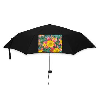 Bidens triplinervia Dreinerviger Zweizahn - Parapluie standard - noir - Devant
