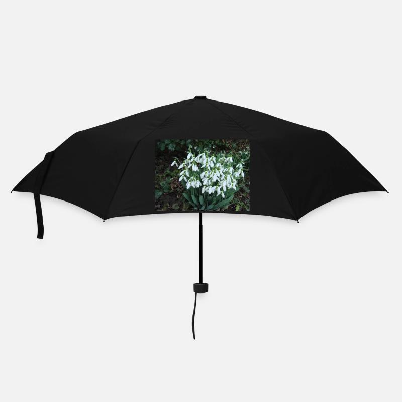 Snowdrops are the first harbingers of spring - Umbrella (small) - black