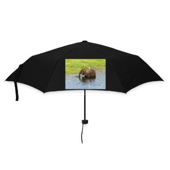 Landscape in Chobe National Park on Sedudu Island - Umbrella (small) - black - Front