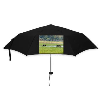 Landscape in Chobe National Park on Sedudu Island - Umbrella (small) - black - Front