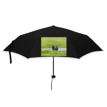 Landscape in Chobe National Park on Sedudu - Umbrella (small) - black - Front