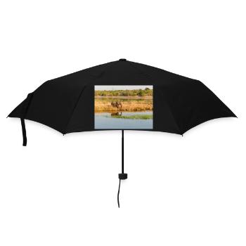 Landscape in Chobe National Park on Sedudu Island - Umbrella (small) - black - Front