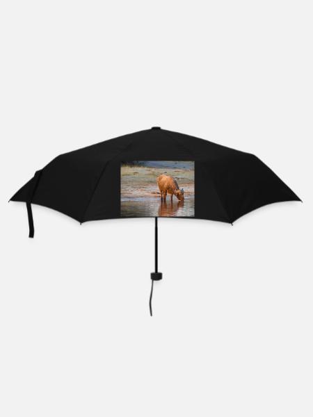 Landscape at the Cubango river with Cape buffalo - Umbrella (small) - black