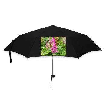 false buck's beard Astilbe japonica - Umbrella (small) - black - Front